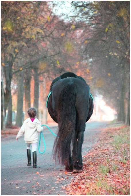 Lieblingsfoto Klein